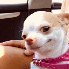 Ocean eyes - Billie Eillish *RATCHET VERSION* feat. Poopy Face