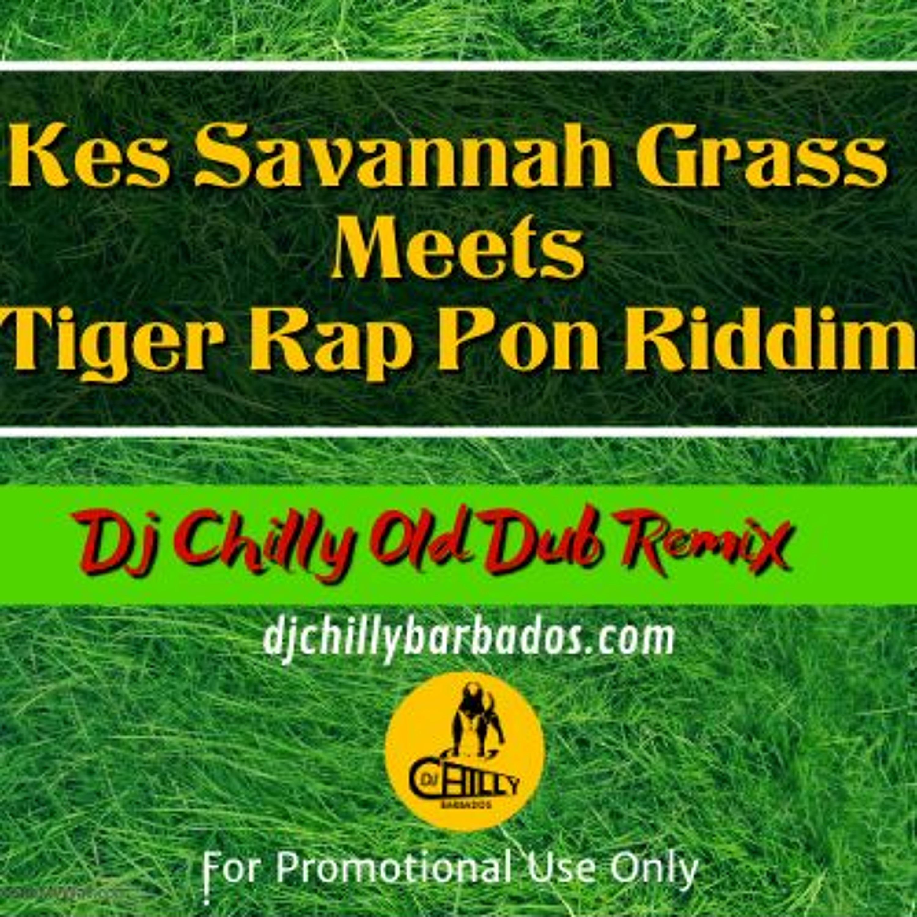 Dj Chilly Presents Kes Savannah Grass Meets Tiger Rap Pon Riddim Dancehall Reggae style episode artwork