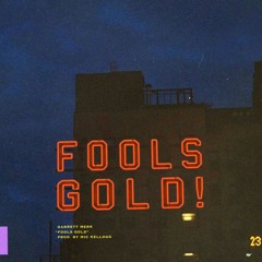 Fools Gold prod. by Mic Kellogg