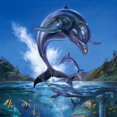 Ecco the hotsell dolphin snes