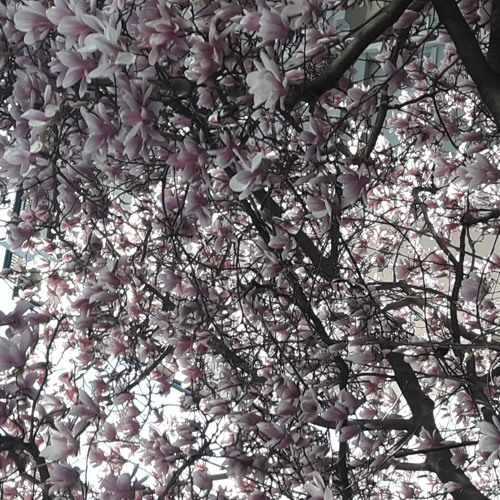 smoothtrial42 x shyguy - 4 h 4 2[slowed remix].mp3