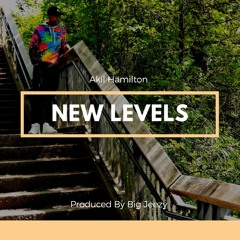 Akil Hamilton - New Levels
