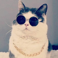 SECURE THE BAG (Prod. Monty G)