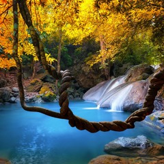 Relax