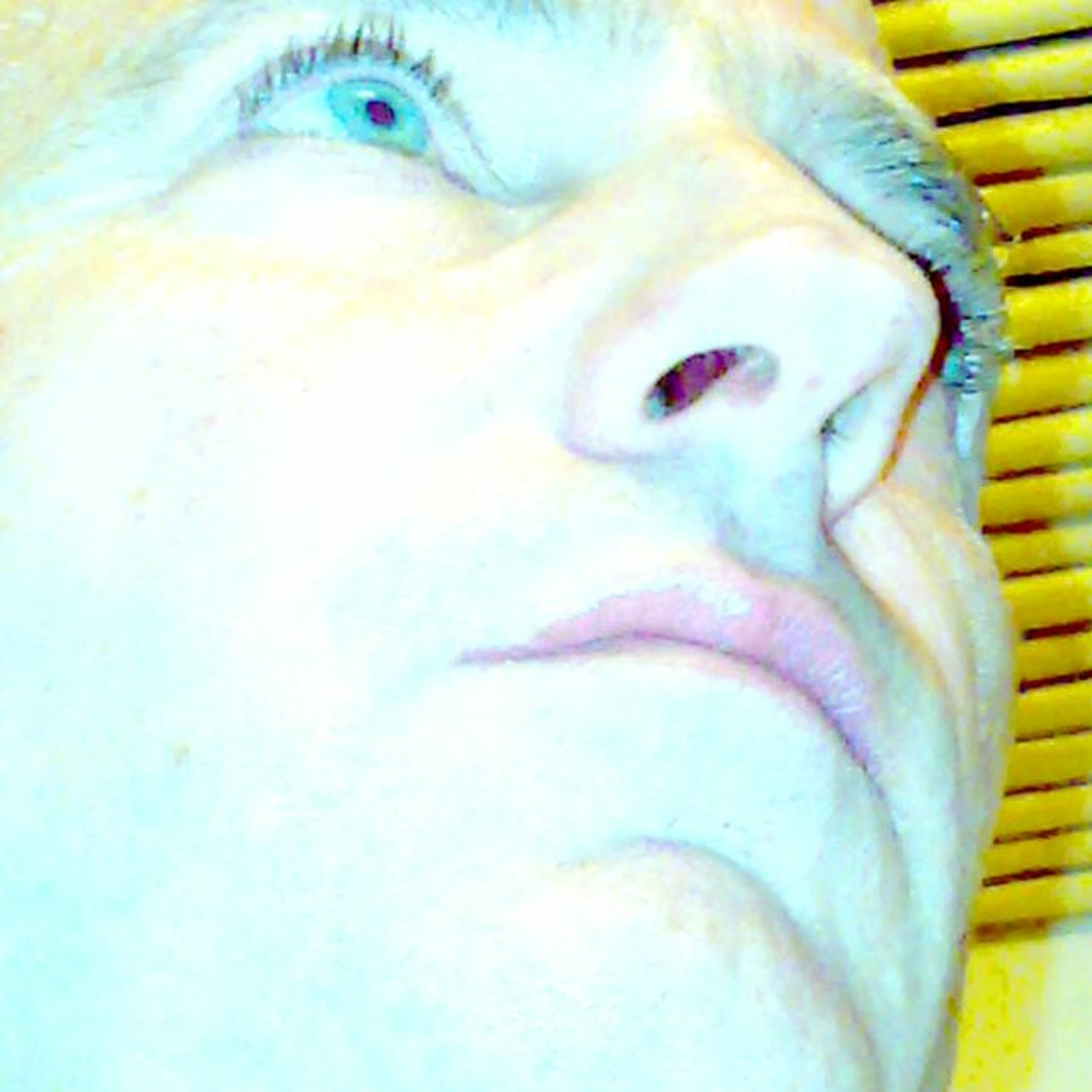 pedro guzman castellano