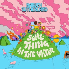 Something In The Water
