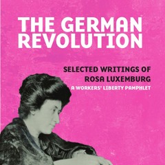 Rosa Luxemburg, the German Revolution