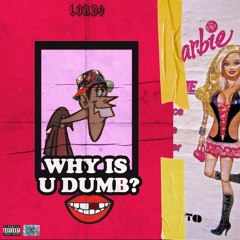 Why Is U Dumb ?
