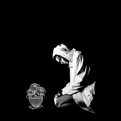 Mr Kitty - Forget