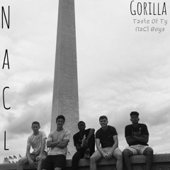 gorilla (feat. NaCl Boys)