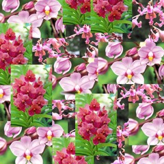 EABE SPRING 2019 MIXTAPE