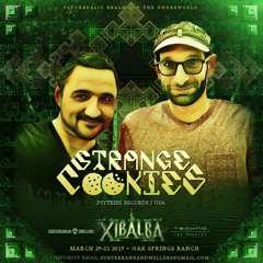 Strange Cookies Live Set at Xilbalba on 3/31/2019