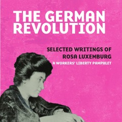 The German Revolution: 1. The Beginning