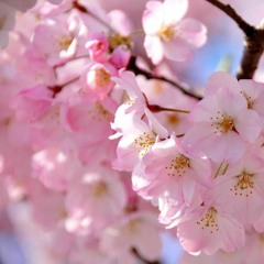 Dirty Androids - Egret And Willow