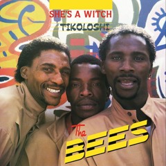 'She's a Witch (Tikoloshi)' - The Bees