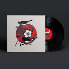Premiere: B1 - Roger Gerressen - Faithful (Varhat remix) [IRENICXXXR]