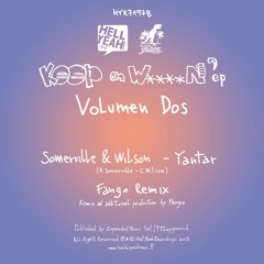 Somerville & Wilson - Yantar (Fango Remix)