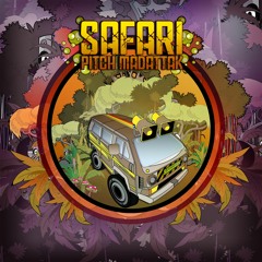 Pitch Mad Attak - Crazy