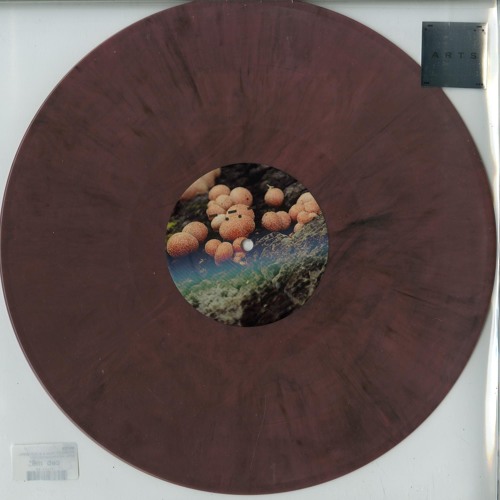 B1. Mutex - Trails To Nowhere