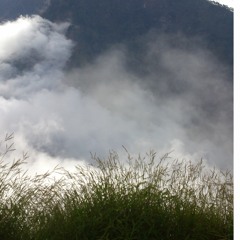 True Story (parts 1 & 2)