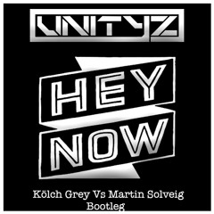 Martin Solveig & Kolsch - Hey Now Grey (Unityz Bootleg)