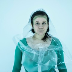 Endosymbiotic Translations