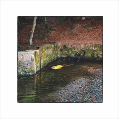 FRANCK VIGROUX "Totem" CD/2LP/DL (AES001) - Excerpts