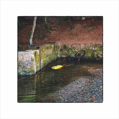 FRANCK VIGROUX "Totem" CD/2LP/DL (AES001) - Excerpts