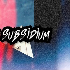 We Are SubSidium