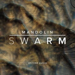 Stream SPITFIRE AUDIO | Listen to Mandolin Swarm playlist online for free  on SoundCloud