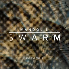 Mandolin Swarm