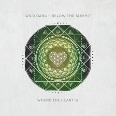 WTHI013 - Wild Dark - Below The Summit (Original Mix)