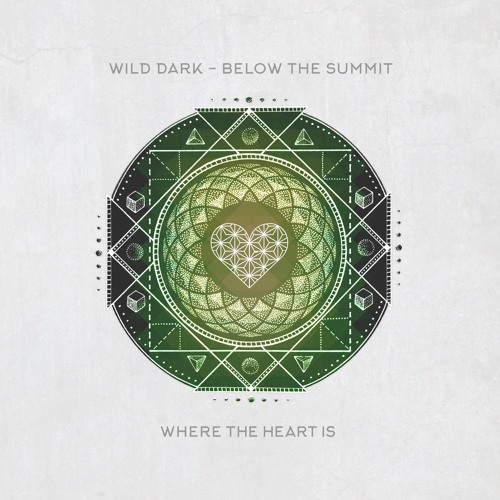 WTHI013 - Wild Dark - Below The Summit (Original Mix)