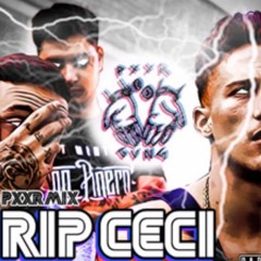 PXXR GVNG MIX - RIP CECI 2K15 - YUNG BEEF X KAYDY CAIN X KHALED X STEVE LEAN