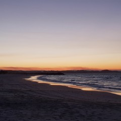 Standing At The Gate