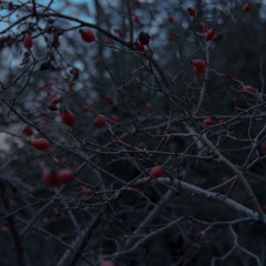 melancholy