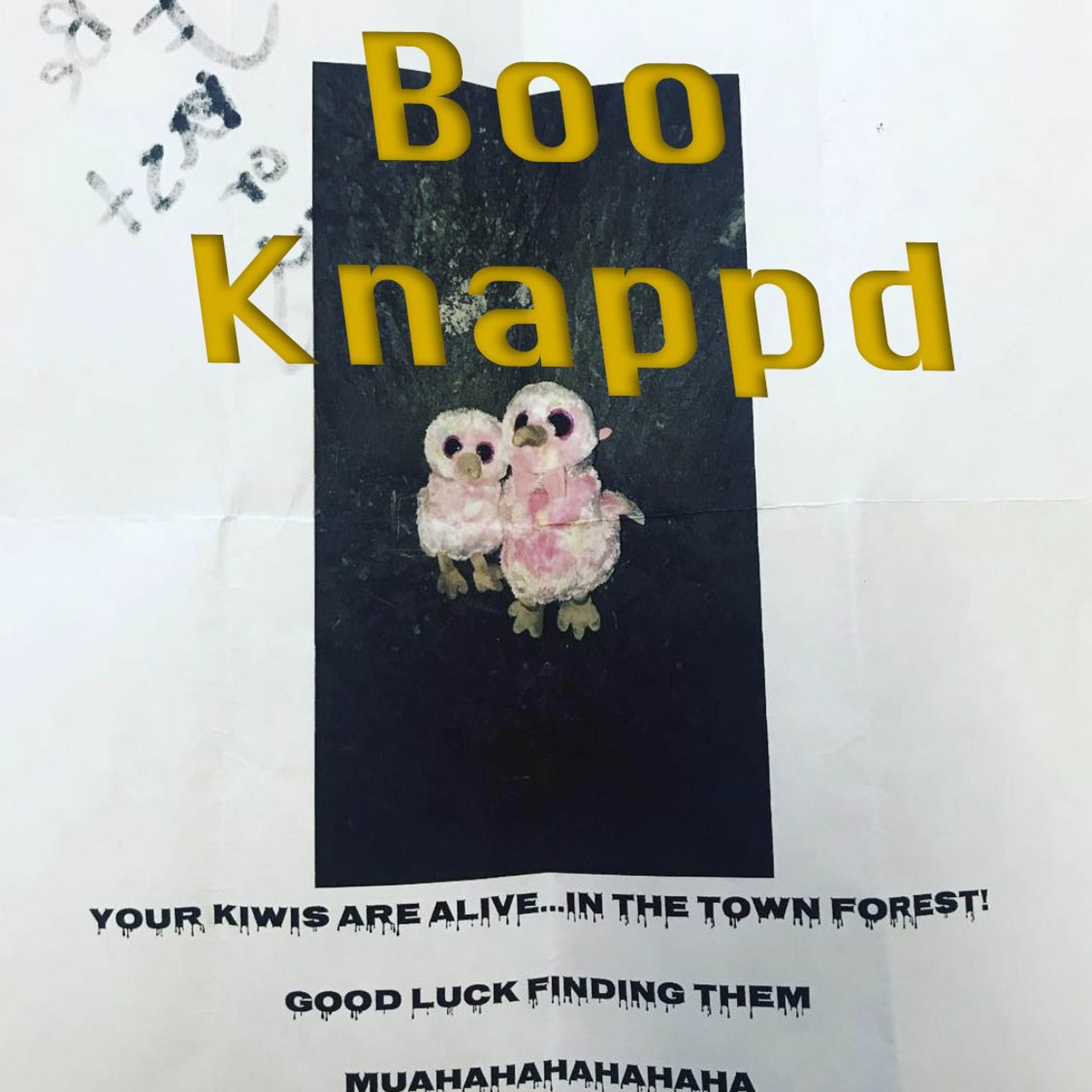 Boo Knappd: Episode 2 episode artwork