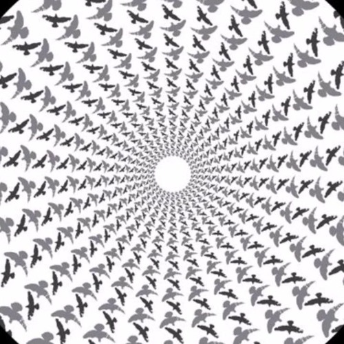 Rich NxT - Serious (EDIT)