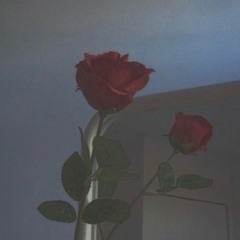 Sad But Sober - Red Roses (Prod. G4cha)