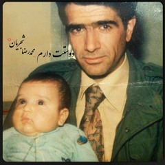 » دوستت دارم _ محمدرضا شجریان «