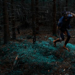 Screaming From The Branches