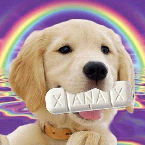 Dog'sHeckinSweet30DayFreeTrialJungleBreakcore MixnMash