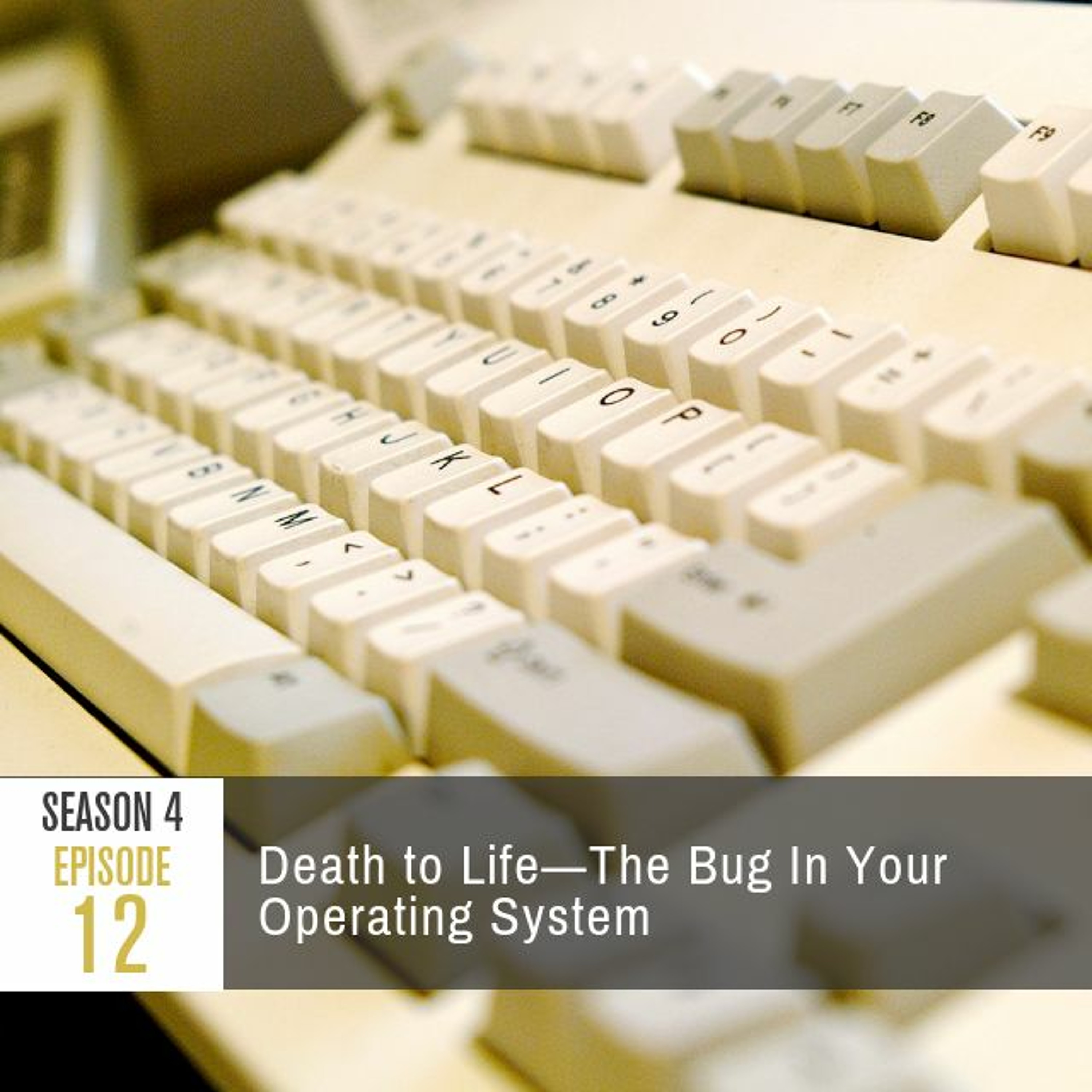 Season 4 Episode 12 - Death to Life: The Bug in Your Operating System
