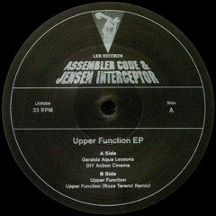 Assembler Code & Jensen Interceptor // Upper Function // LKR006