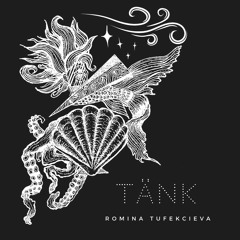 Romina Tufekcieva - Tänk ( Prod Noach Shariff)