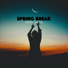 Spring Break Mix (DJ SET)