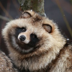 Azen on the Vibeapple @ Bequinox 2019 RENEGADE