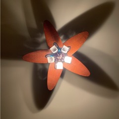 Ceiling Fan (Prod Nape)