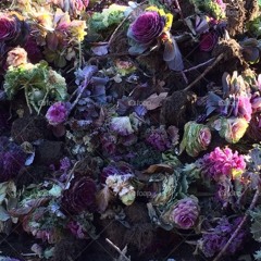 Same Old Madness (Ministry)