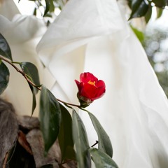 <over there> Theme Of Water Bass Masterd V1